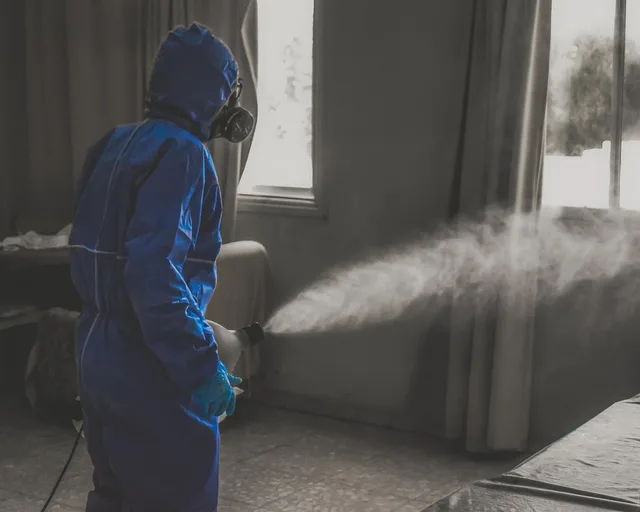 covid-19, pandemic, epidemic, infection, sars-cov-2, disinfection, protection, hygiene, mask, uniform, coronavirus, disinfection, disinfection, disinfection, disinfection, disinfection. DOT and IATA rules for US specimen couriers shipping Category A and B